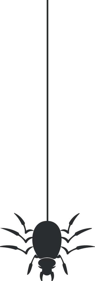 spider hanging on the web vector