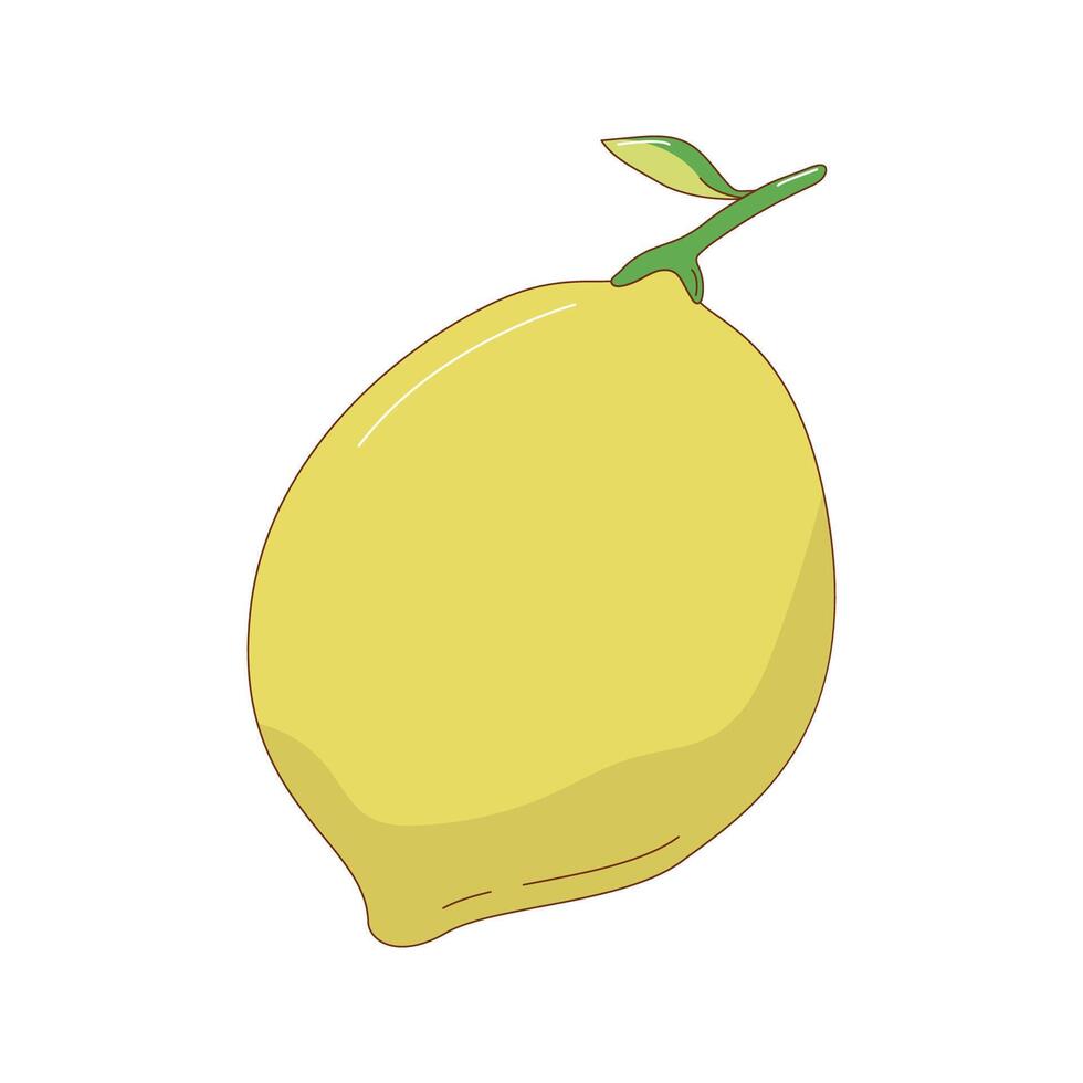 Hand drawn lemon fruit vector illustration. Creative hand drawn fruit vector element design