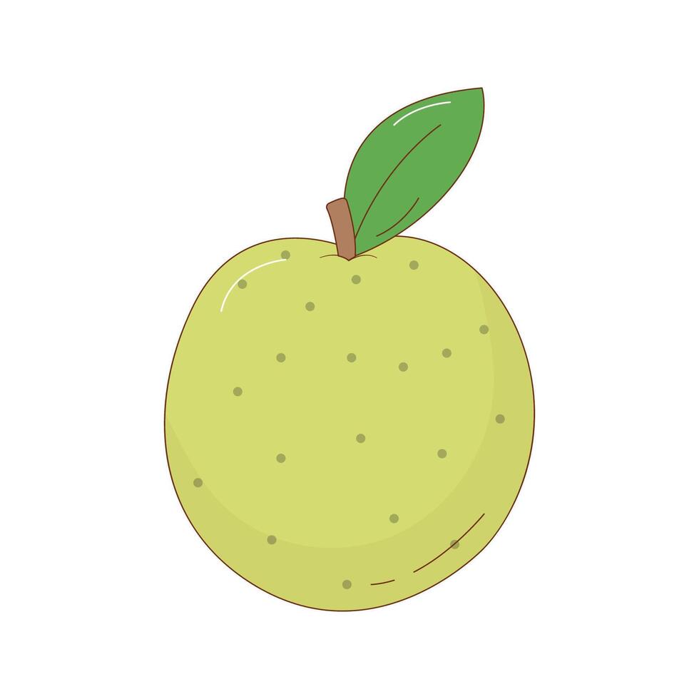 Hand drawn pear fruit vector illustration. Creative hand drawn fruit vector element design