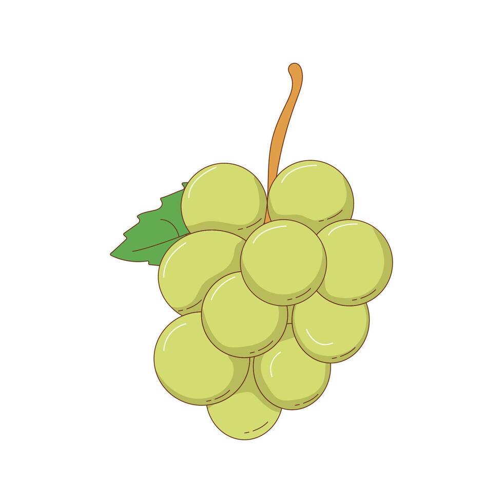 mano dibujado verde uvas Fruta vector ilustración. creativo mano dibujado Fruta vector elemento diseño