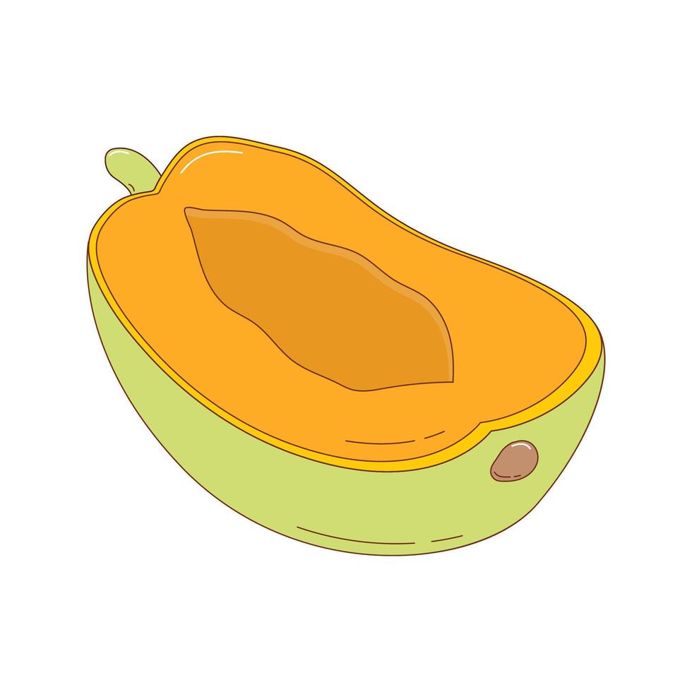 Hand drawn papaya fruit vector illustration. Creative hand drawn fruit vector element design