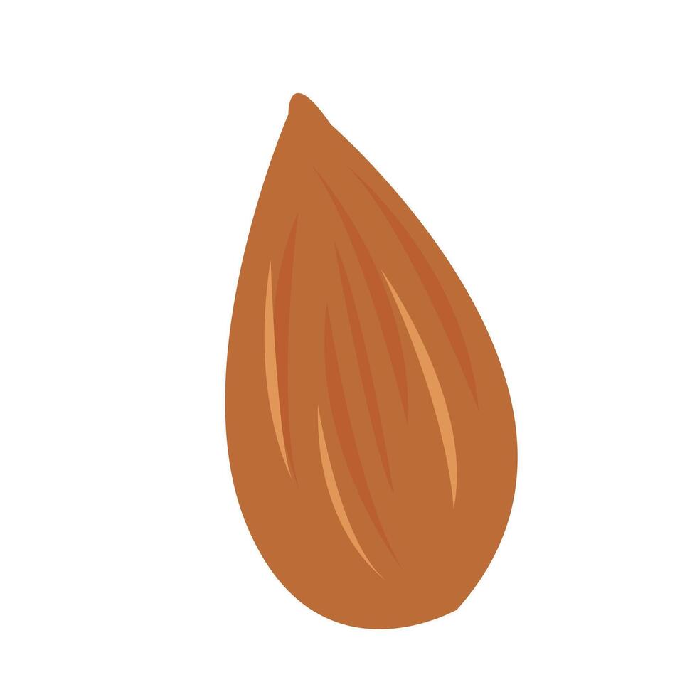 Almond Icon Vector Illustration