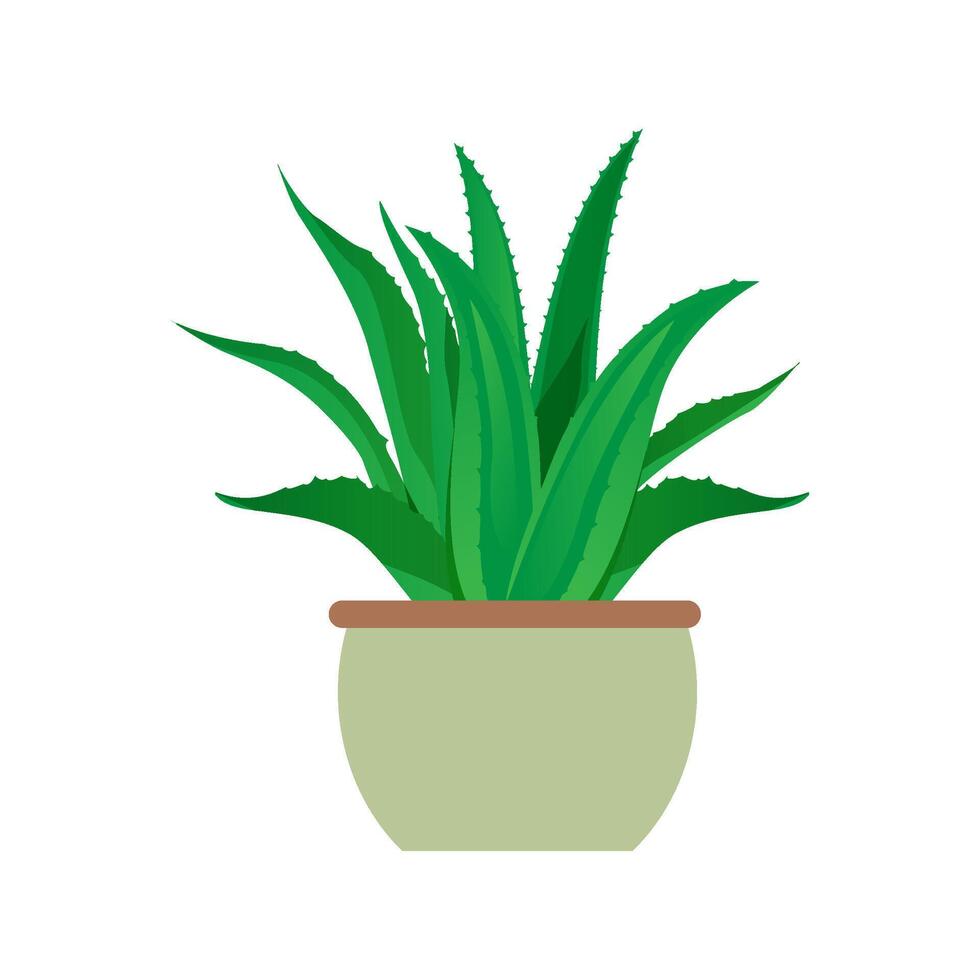 Aloe Vera Houseplant Icon Vector Illustration