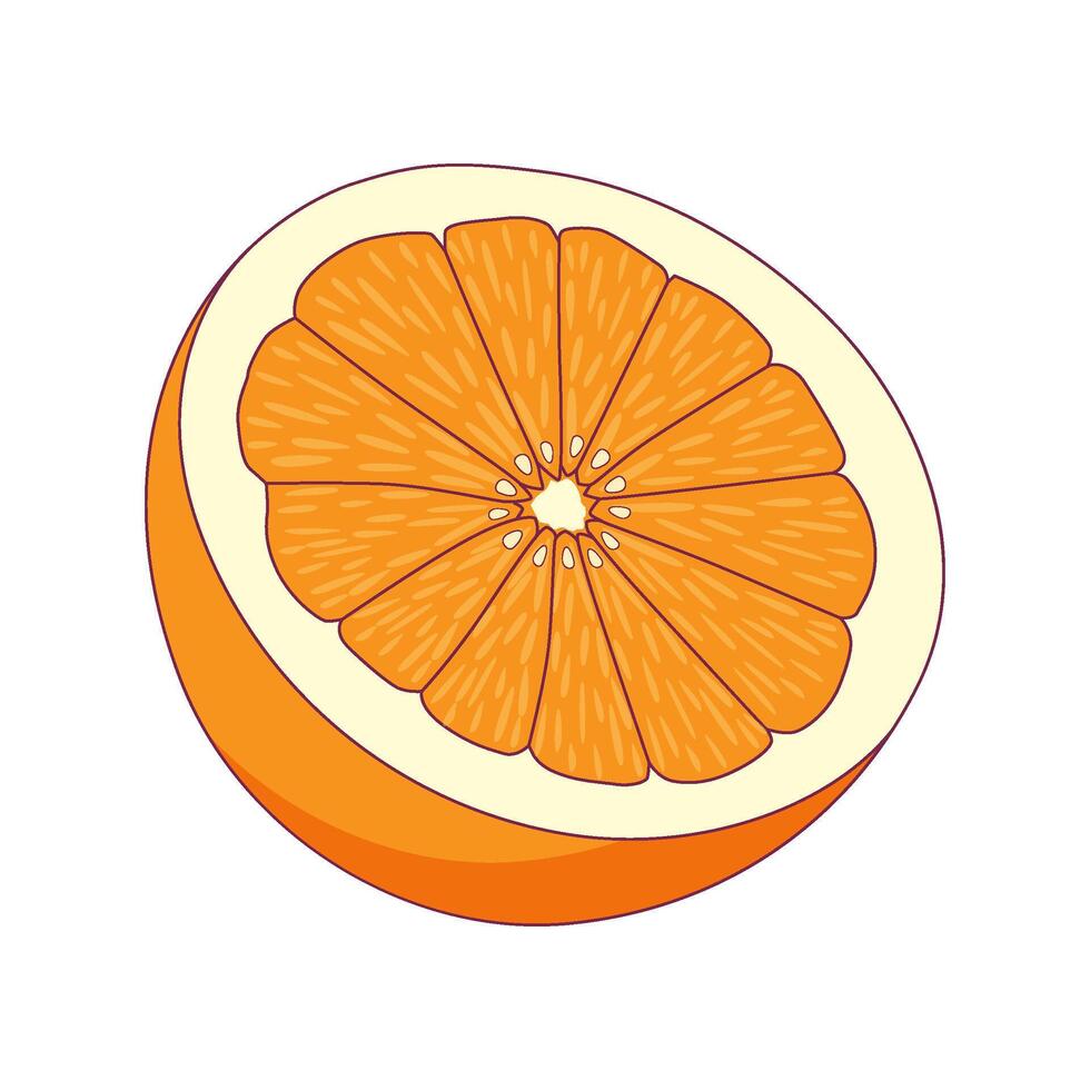 medio naranja icono vector ilustración