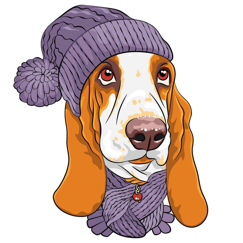 vector funny cartoon hipster dog Basset Hound
