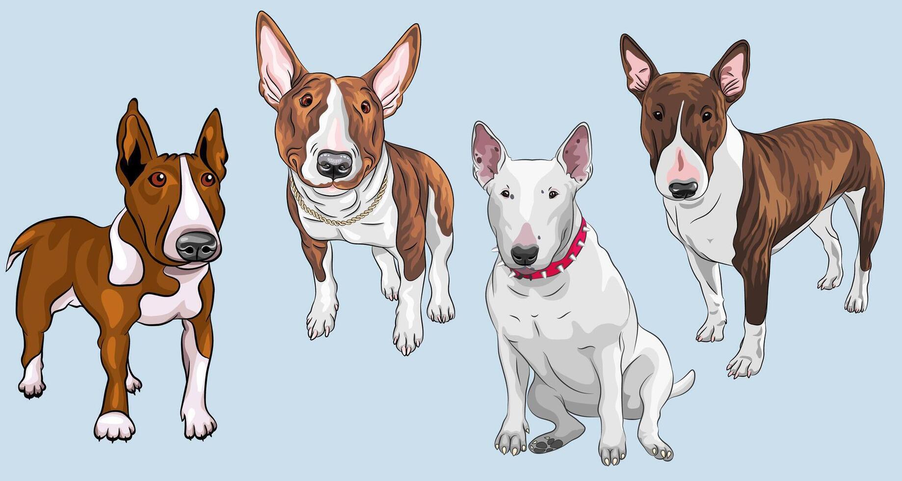 Set Bull Terrier Dog breed vector