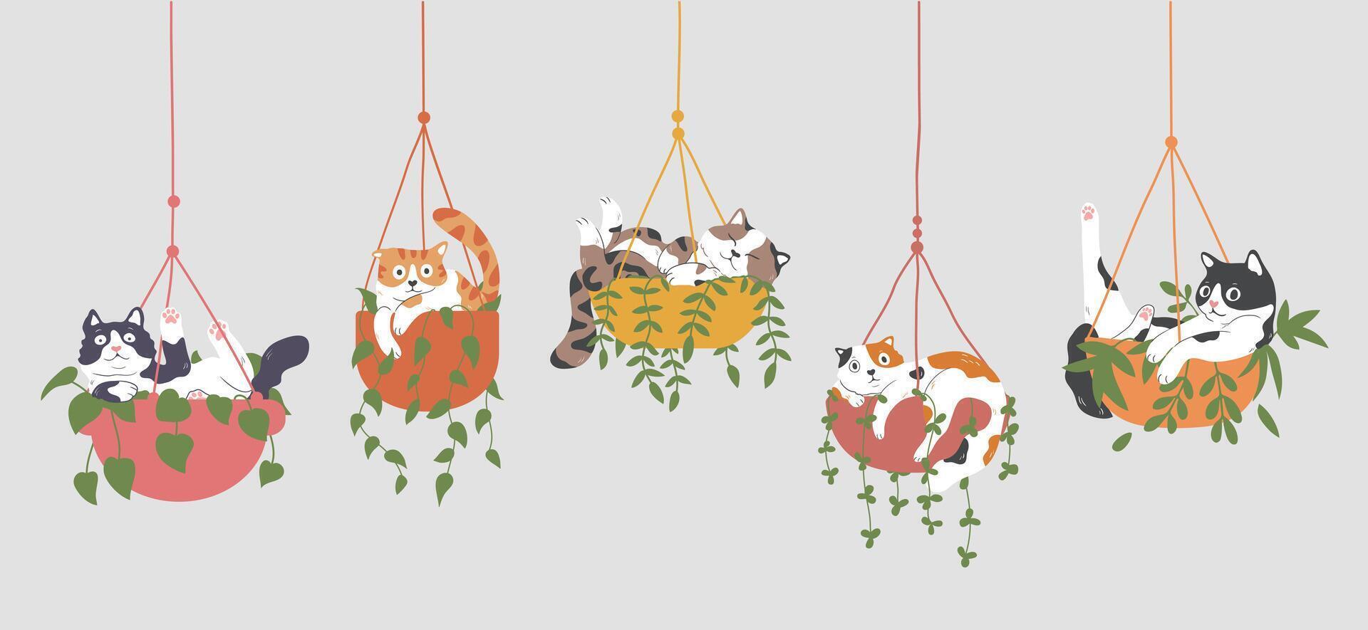 Set of Cute Cartoon Cats lazily lies in plant hanging pot. funny cat behavior, Calico, Orange, Tuxedo, and Tabby Cats. Isolated Vector Illustration.