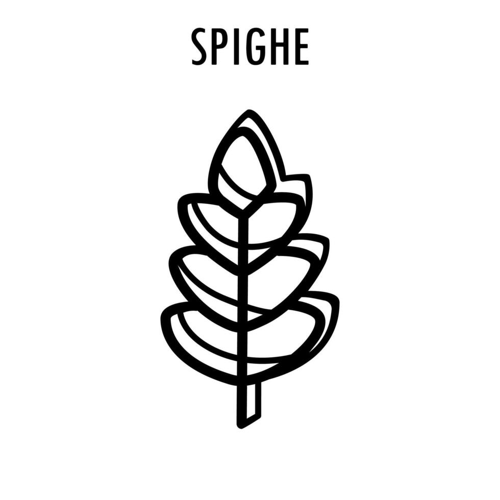 Spighe pasta doodle food illustration. Hand drawn graphic print of short macaroni type of pasta. Vector line art food ingredient of Italian cuisine