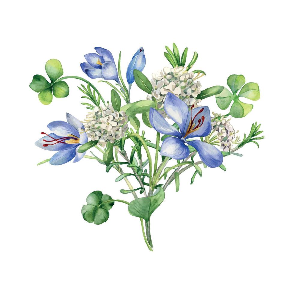 manojo de primavera flores acuarela ilustración aislado en blanco. pintado verde trébol y azul, blanco flores irlandesa suerte símbolo mano dibujado. diseño para S t Patricio día tarjeta postal, Pascua de Resurrección tarjeta. vector