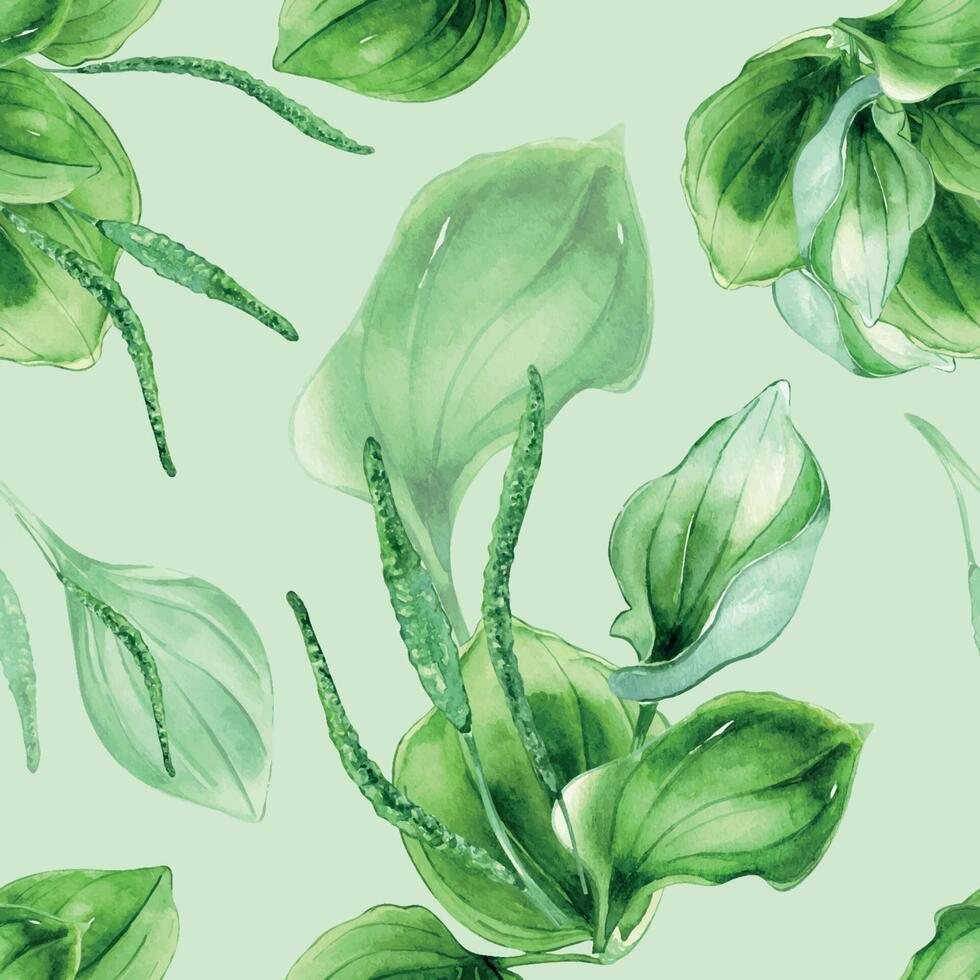 Plantago broadleaf medicinal plant watercolor seamless pattern isolated on pastel background. Plantain, green leaves, herb, psyllium hand drawn. Design for textile, package, wallpaper, wrapping vector