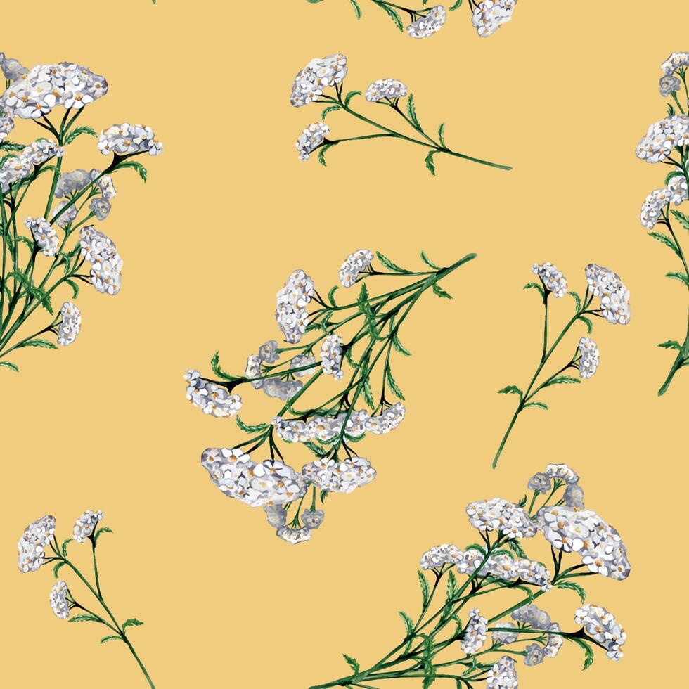 Achillea millefolium medicinal plant watercolor seamless pattern isolated on beige background. Yarrow white flower painted. Useful herb milfoil hand drawn. Design for textile, package, fabric vector