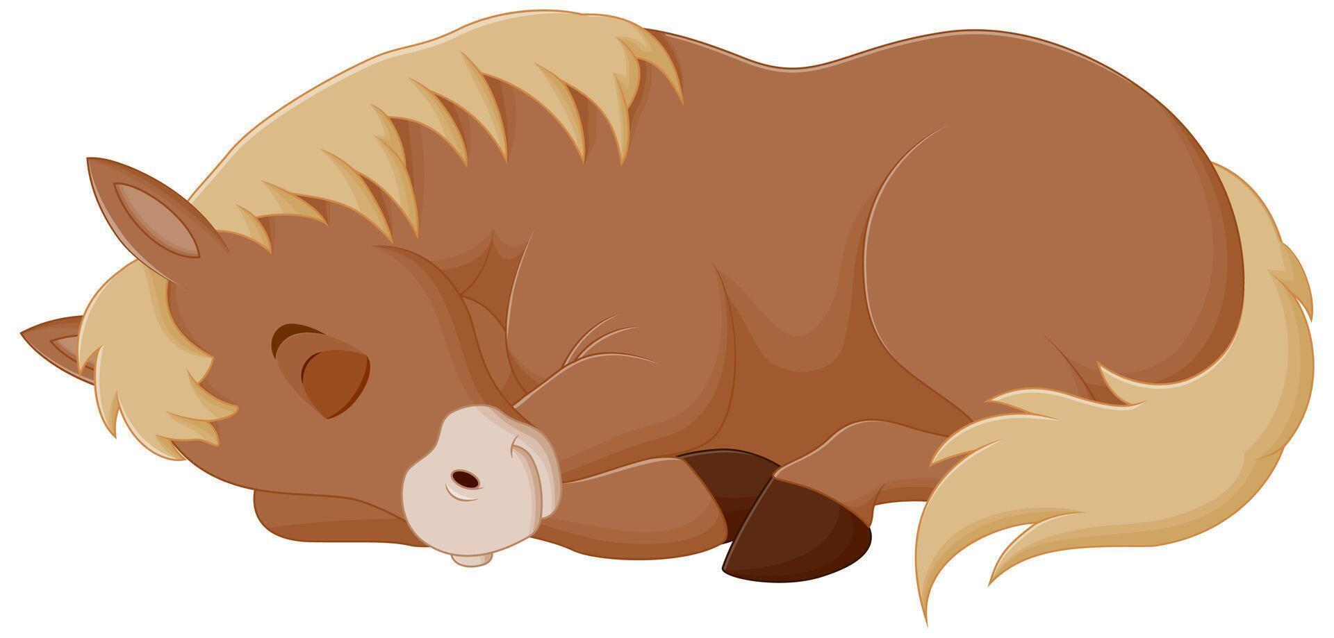 Cute Horse Cartoon Sleeping Vector Illustration. Animal Nature Icon Concept Isolated Premium Vector