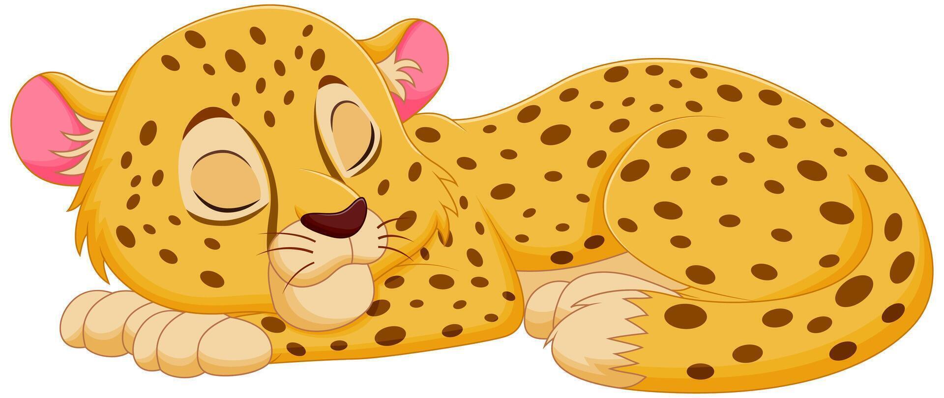 linda leopardo dibujos animados dormido vector ilustración. animal naturaleza icono concepto aislado prima vector