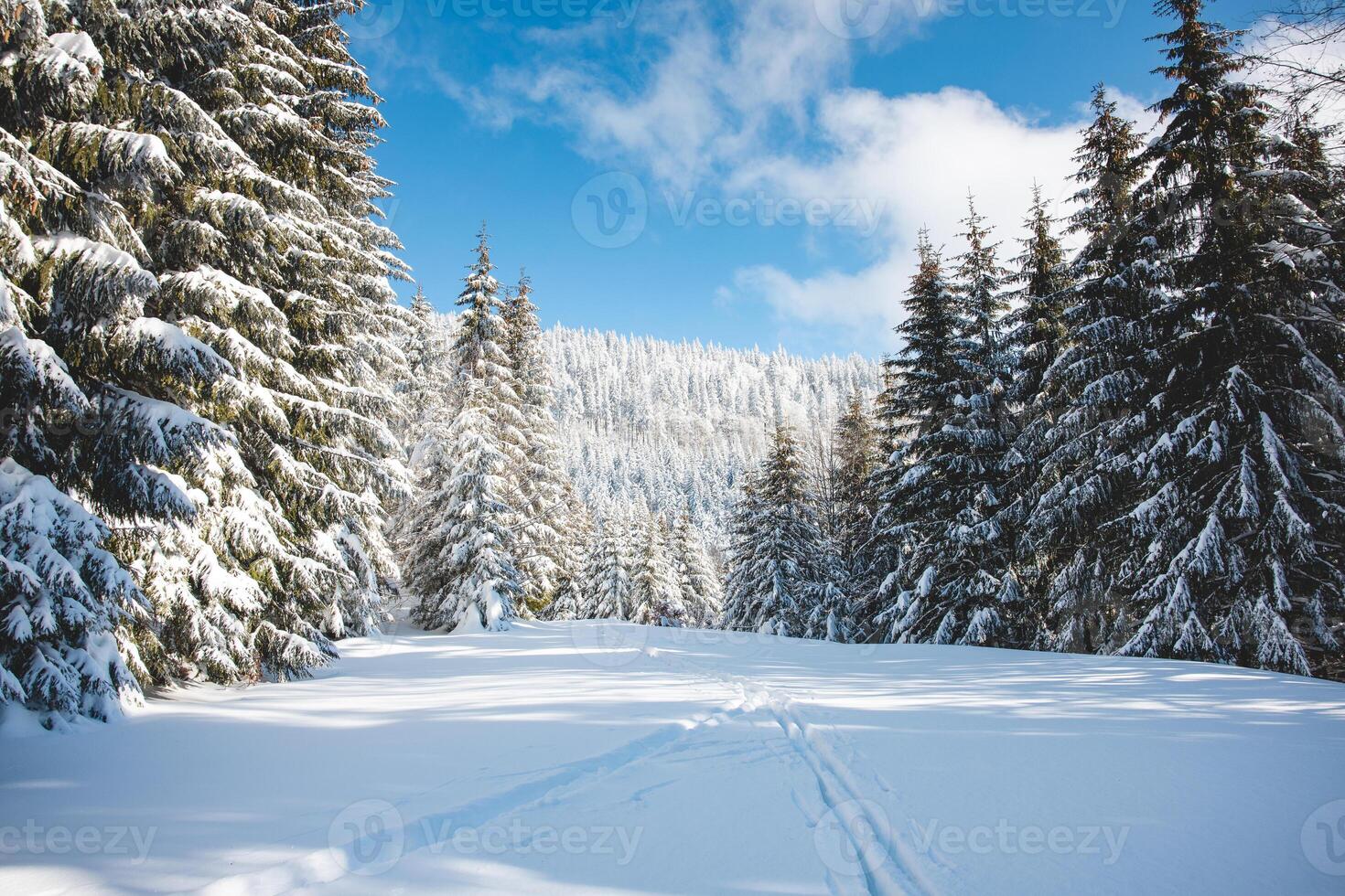 Winter scenery with sun rays reflecting off the glittering snow. Sunrise in a snowy wilderness and woodland. Beskydy mountains, Czech Republic photo