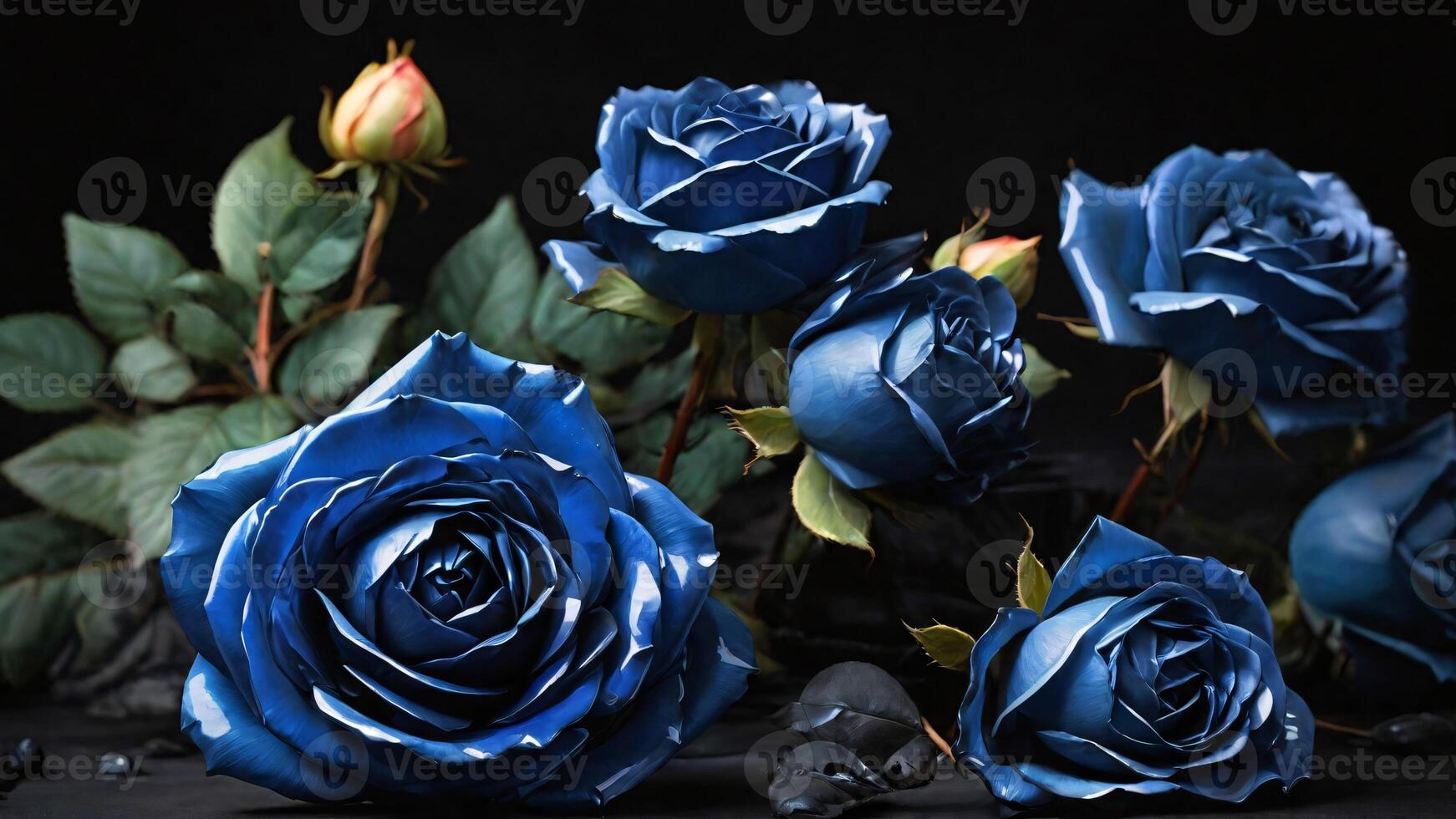 ai generado hermosa azul rosas en negro fondo, de cerca. espacio para texto foto