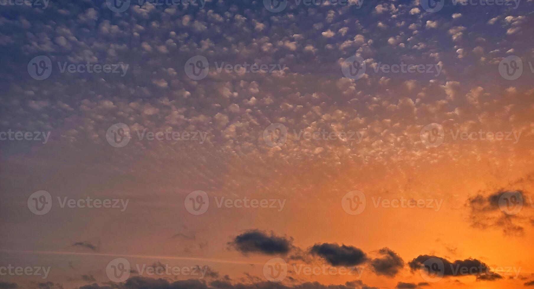 Panorama of the yellow sky with fancy clouds at sunset photo