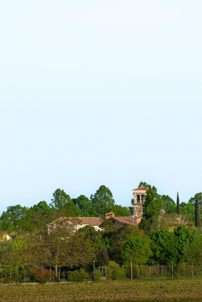 Bell tower and roof tops surrounded by greenery and cloudless sky, Italy photo