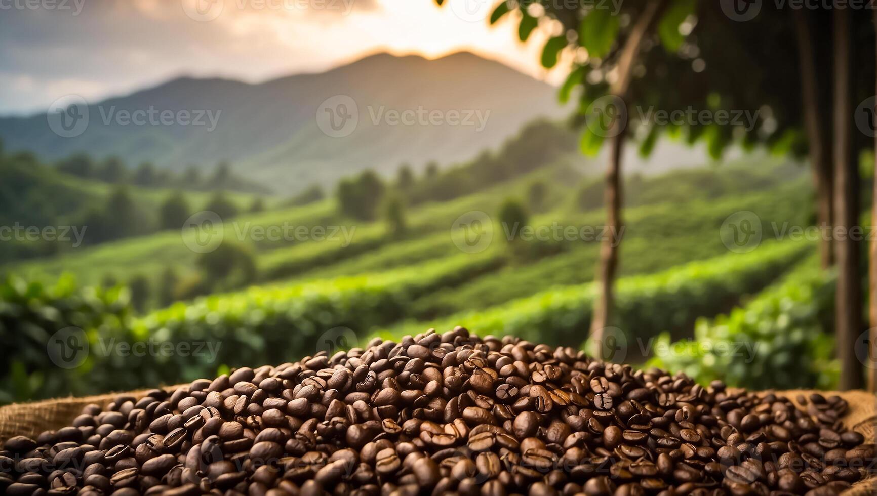 AI generated Coffee harvest on plantation photo