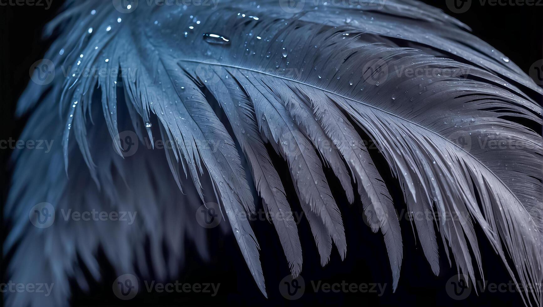 AI generated Beautiful feather, drop of water dark background photo