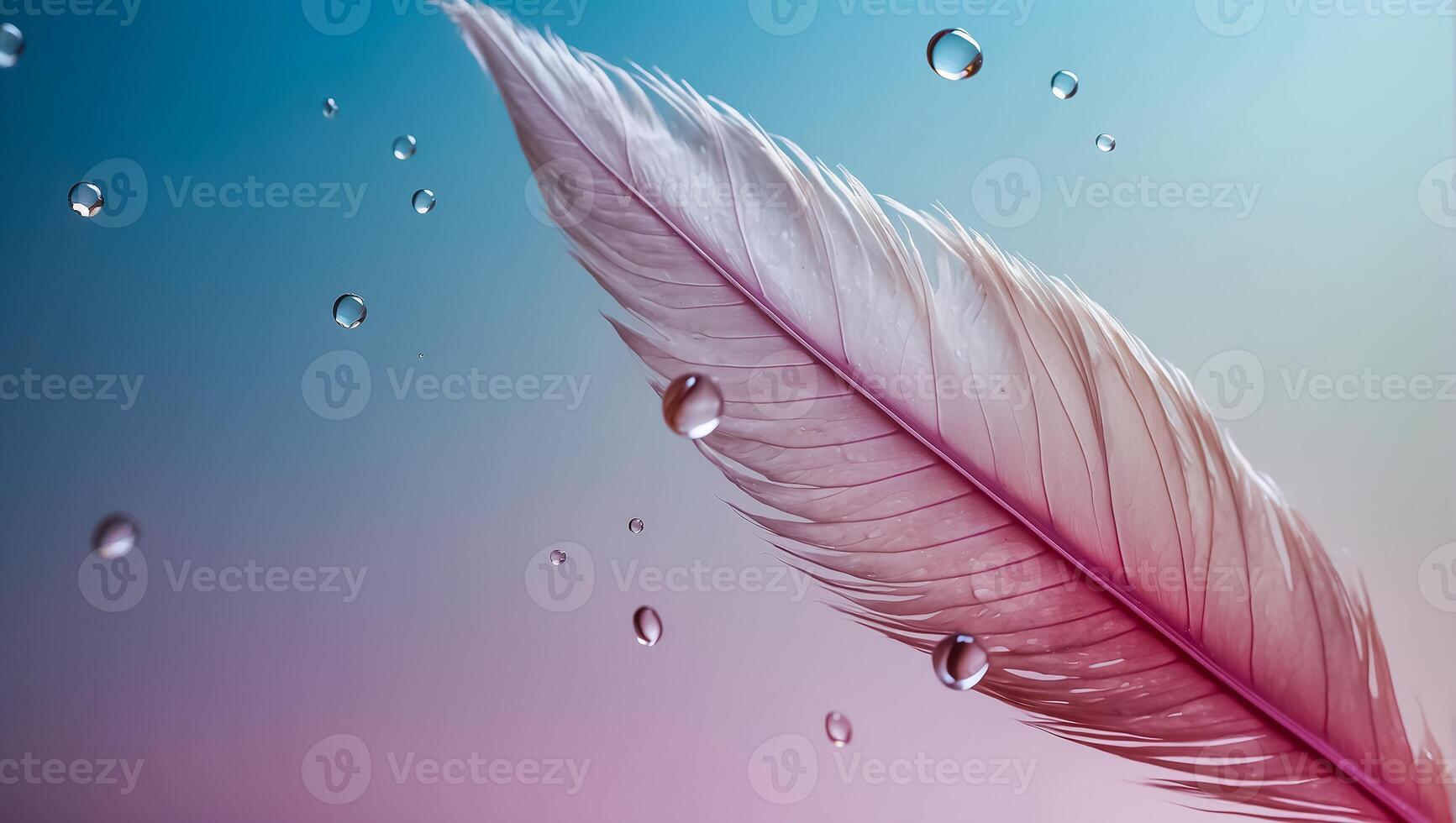 Beautiful feather, drop of water, color background photo