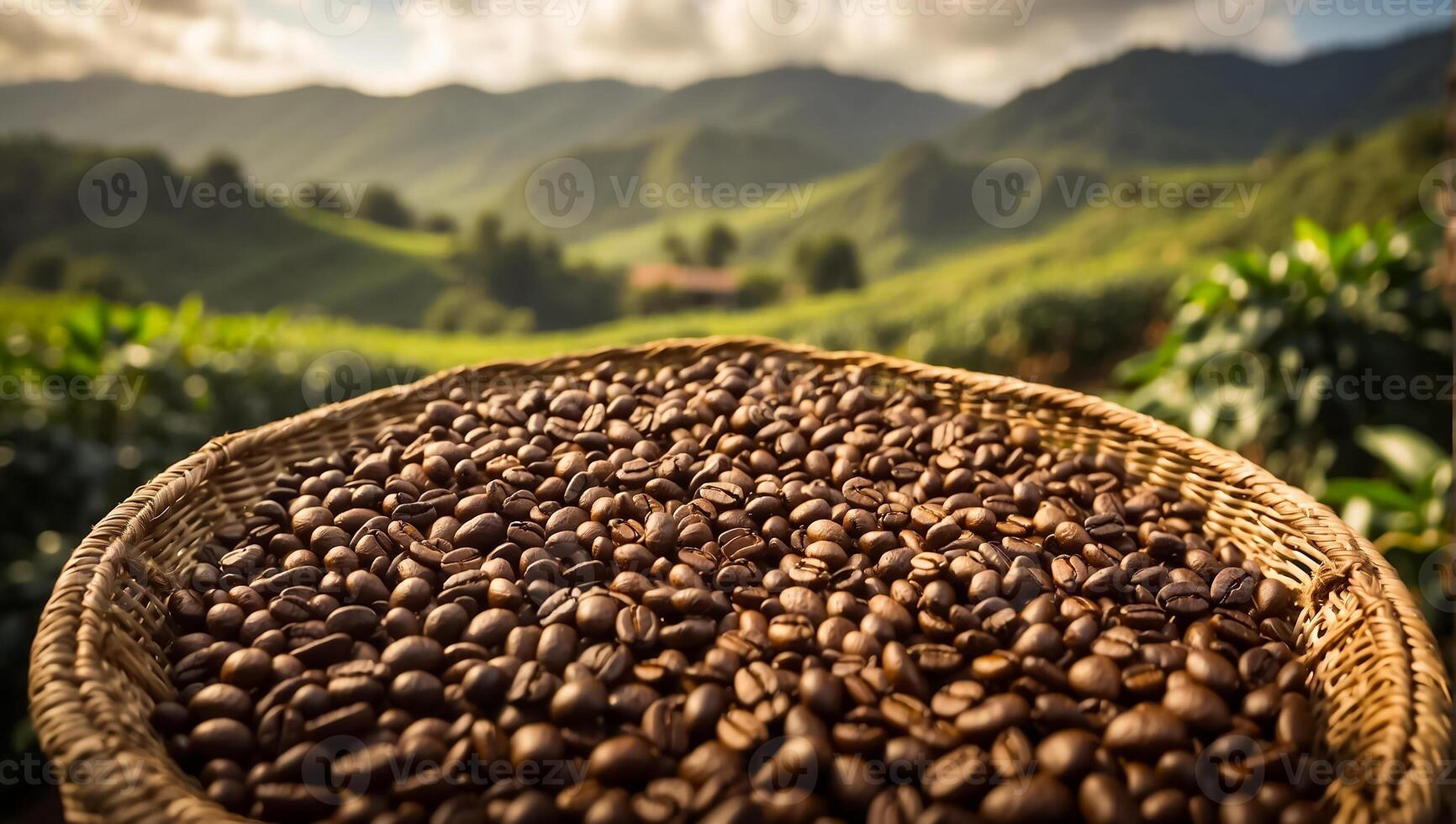 AI generated Coffee harvest on plantation photo