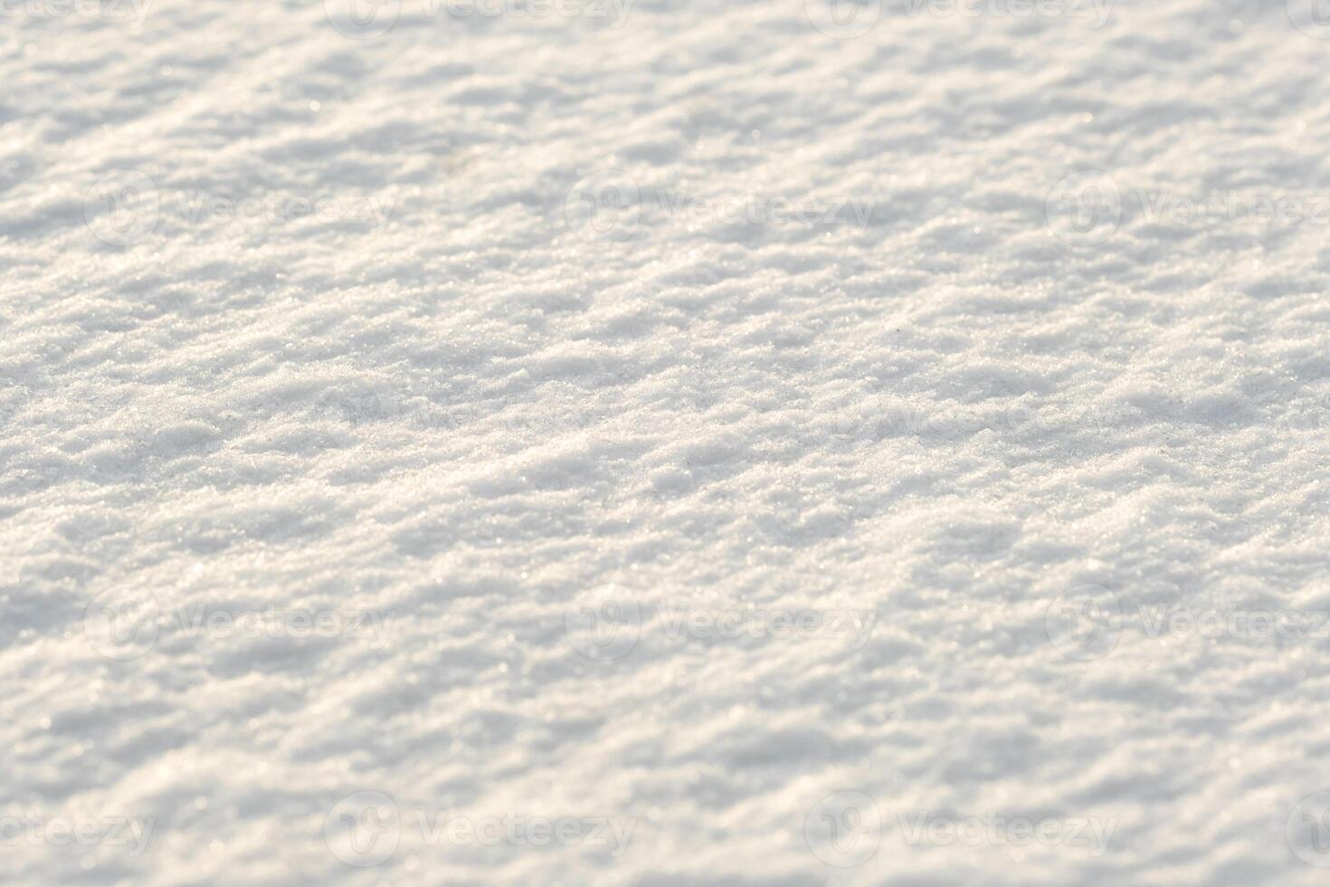 winter background. Snow texture. White pure snow photo