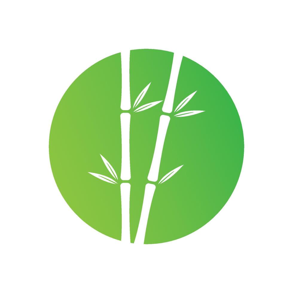 Bamboo with green leaf vector