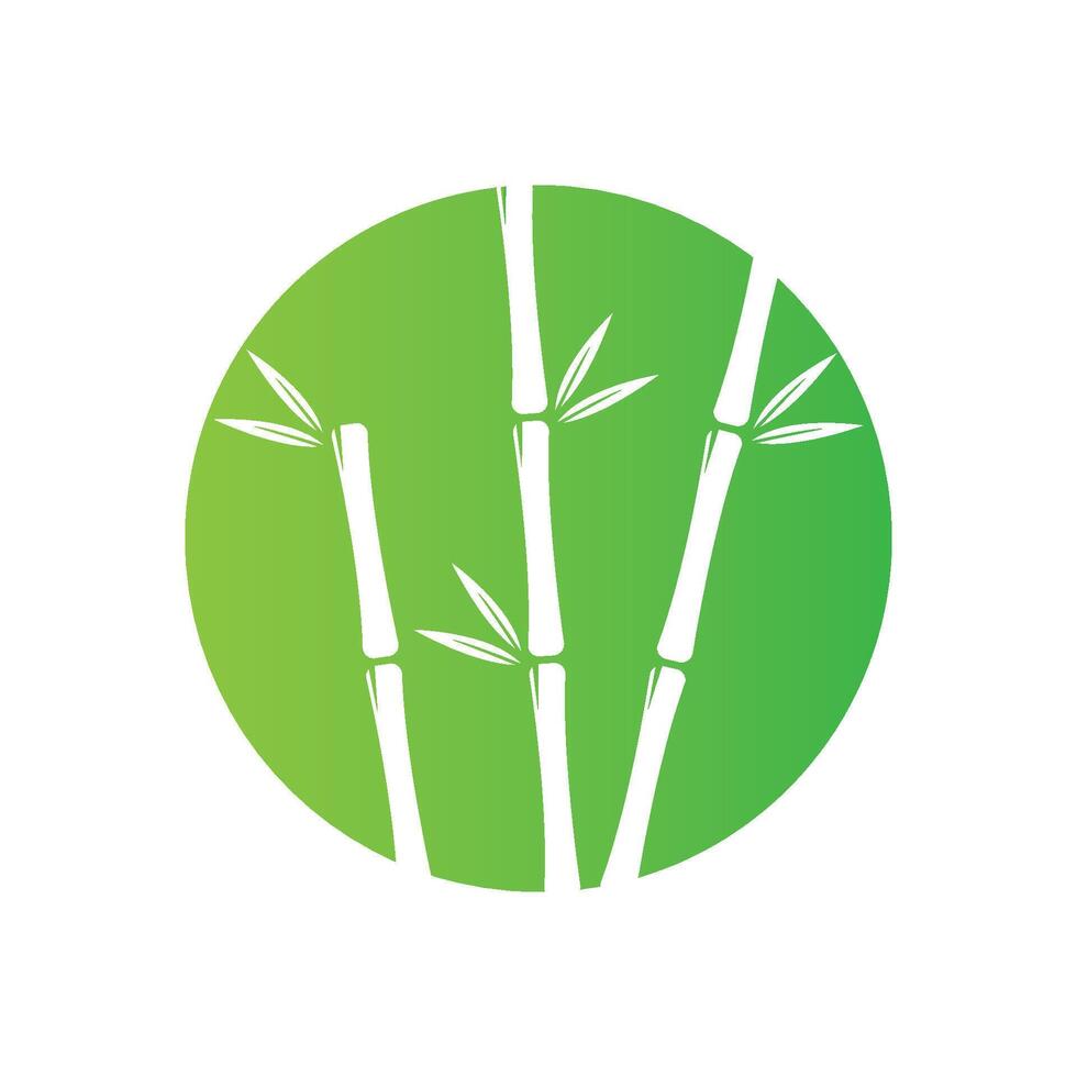 Bamboo with green leaf vector