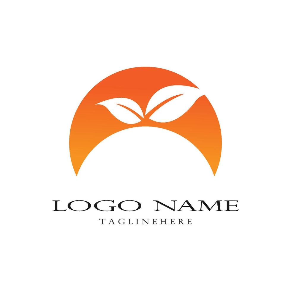 Orange logo vector template