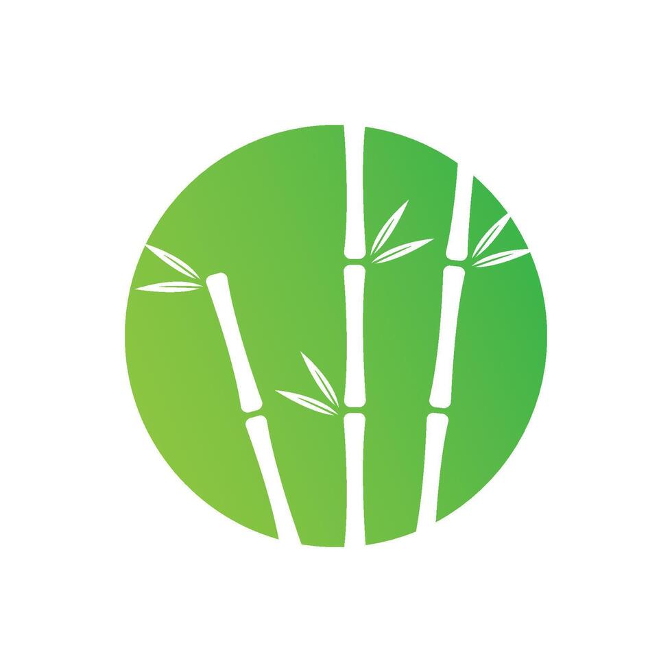 Bamboo with green leaf vector