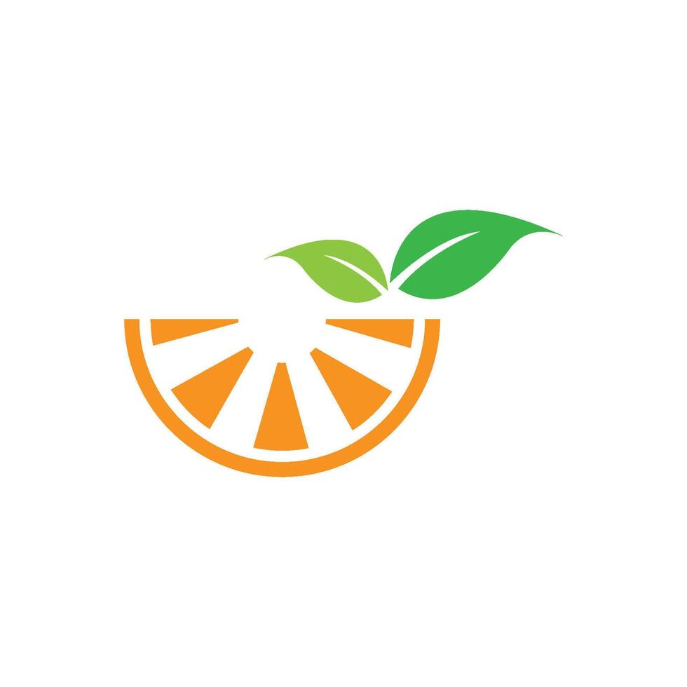 Orange logo vector template