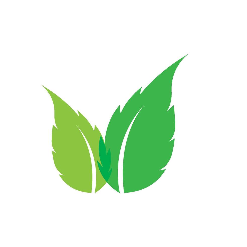 hoja verde ecología naturaleza elemento vector icono