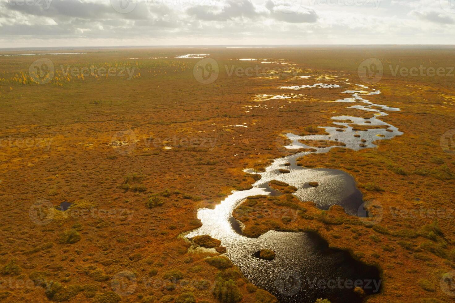 An aerial view of an autumn bog in Yelnya, Belarus, autumn. Ecosystems ecological problems climate change photo