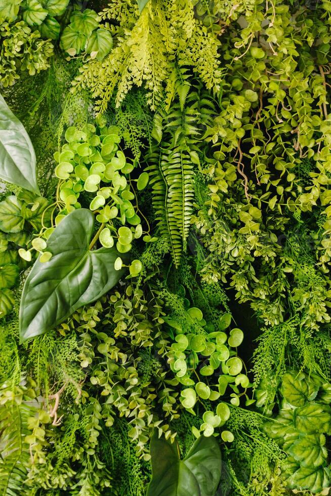 natural texturizado antecedentes de verde plantas. el concepto de natural plantas foto