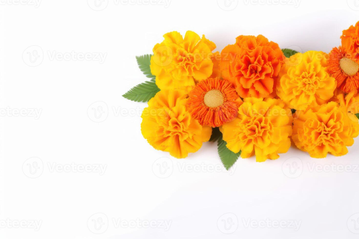 AI generated Marigold flowers in vibrant orange and yellow hues isolated on a white background, gudi padwa traditional decoration image photo
