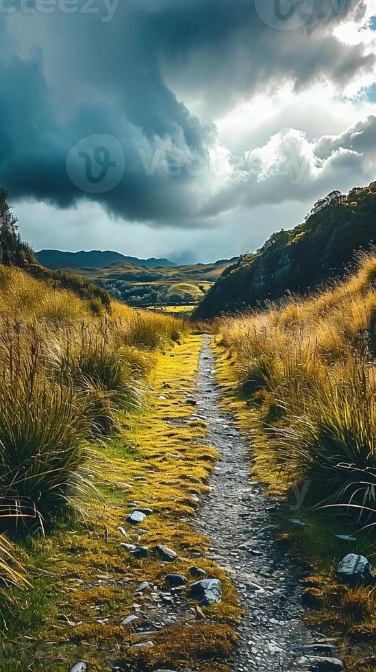 AI generated Pathway in the middle of grassy field under cloudy sky Ai Generated photo