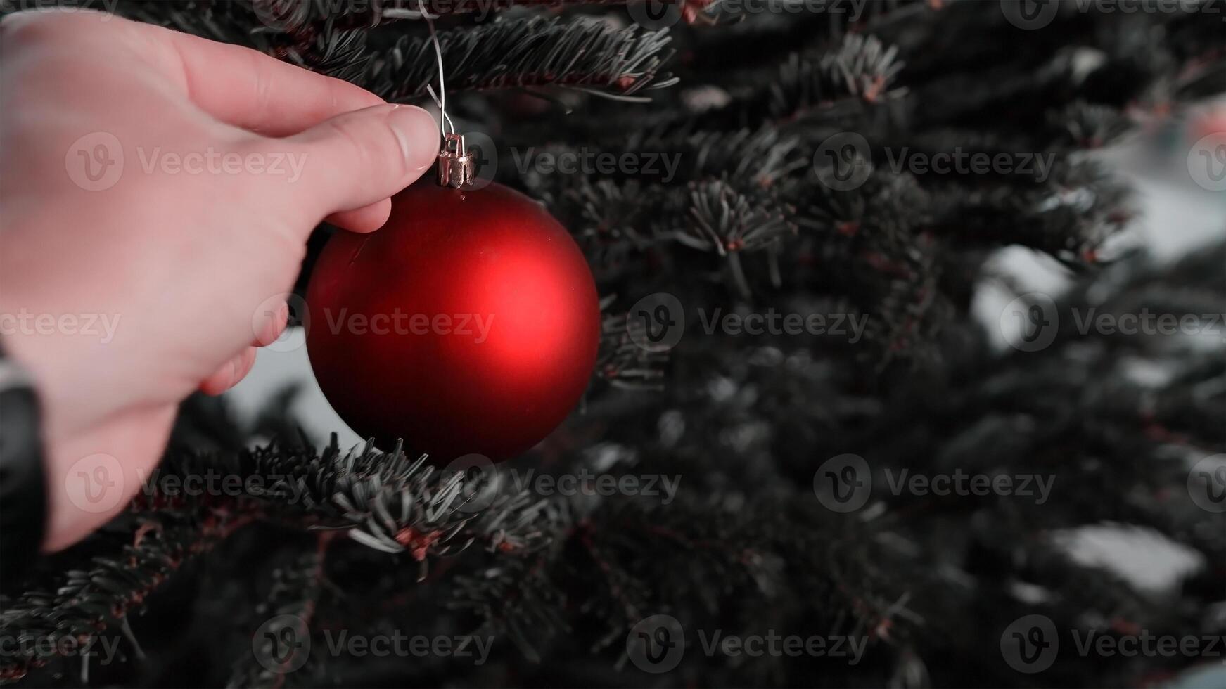 Female hand holds a red Christmas ball on the background of a Christmas tree photo