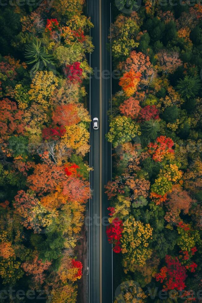 AI generated Photo of straight road that cuts through the middle of dense, colorful autumn foliage. single white car should be visible on the road, emphasizing solitude and tranquility Ai Generated