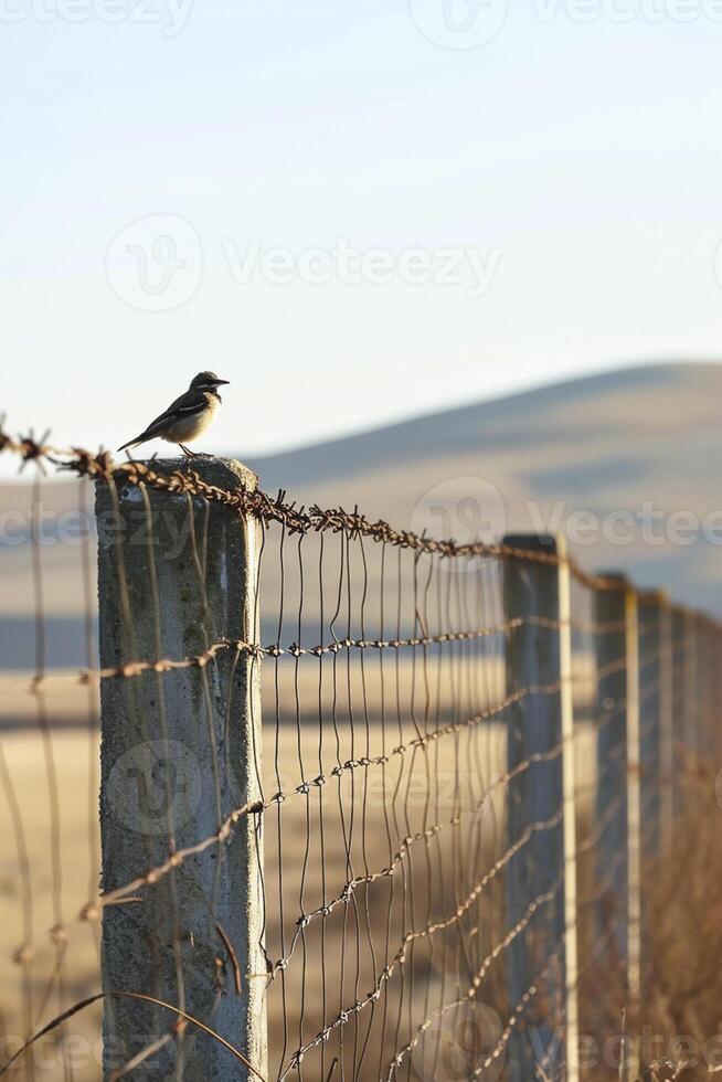 AI generated small bird is perched on one of the concrete posts supporting the fence Ai generated photo