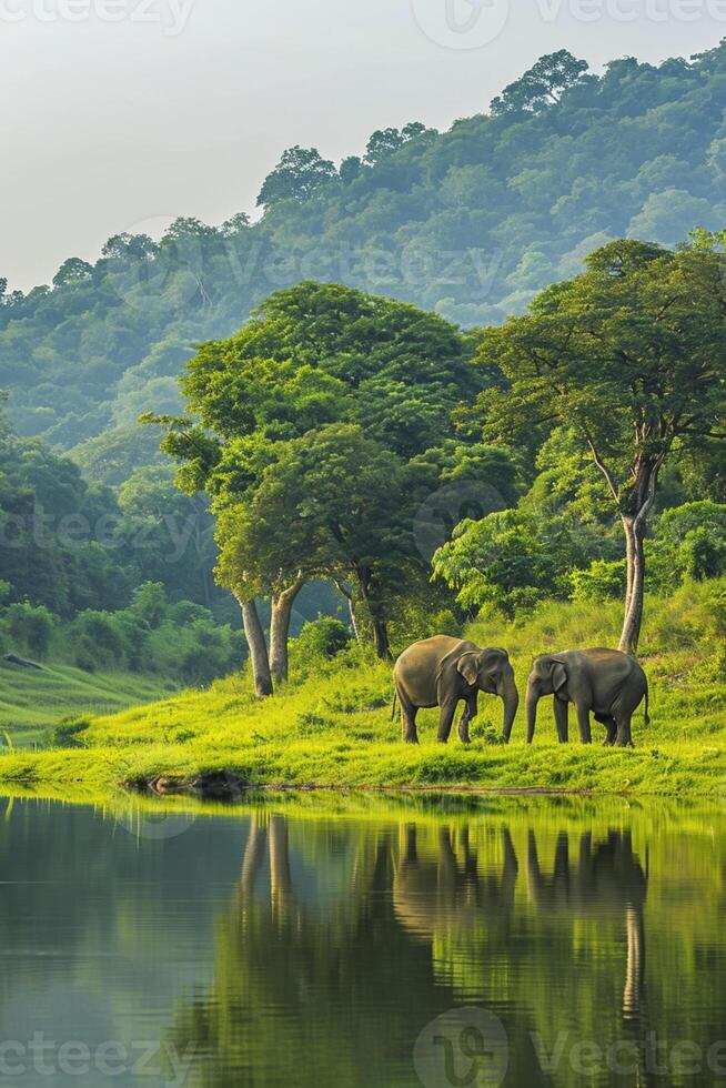 AI generated tranquil scene in nature where two elephants are seen near the water edge. Ai generated photo
