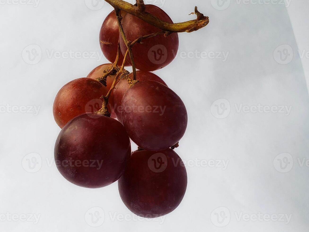 Bunch of ripe dark blue, purple grapes Isolated on top and side view. white background photo