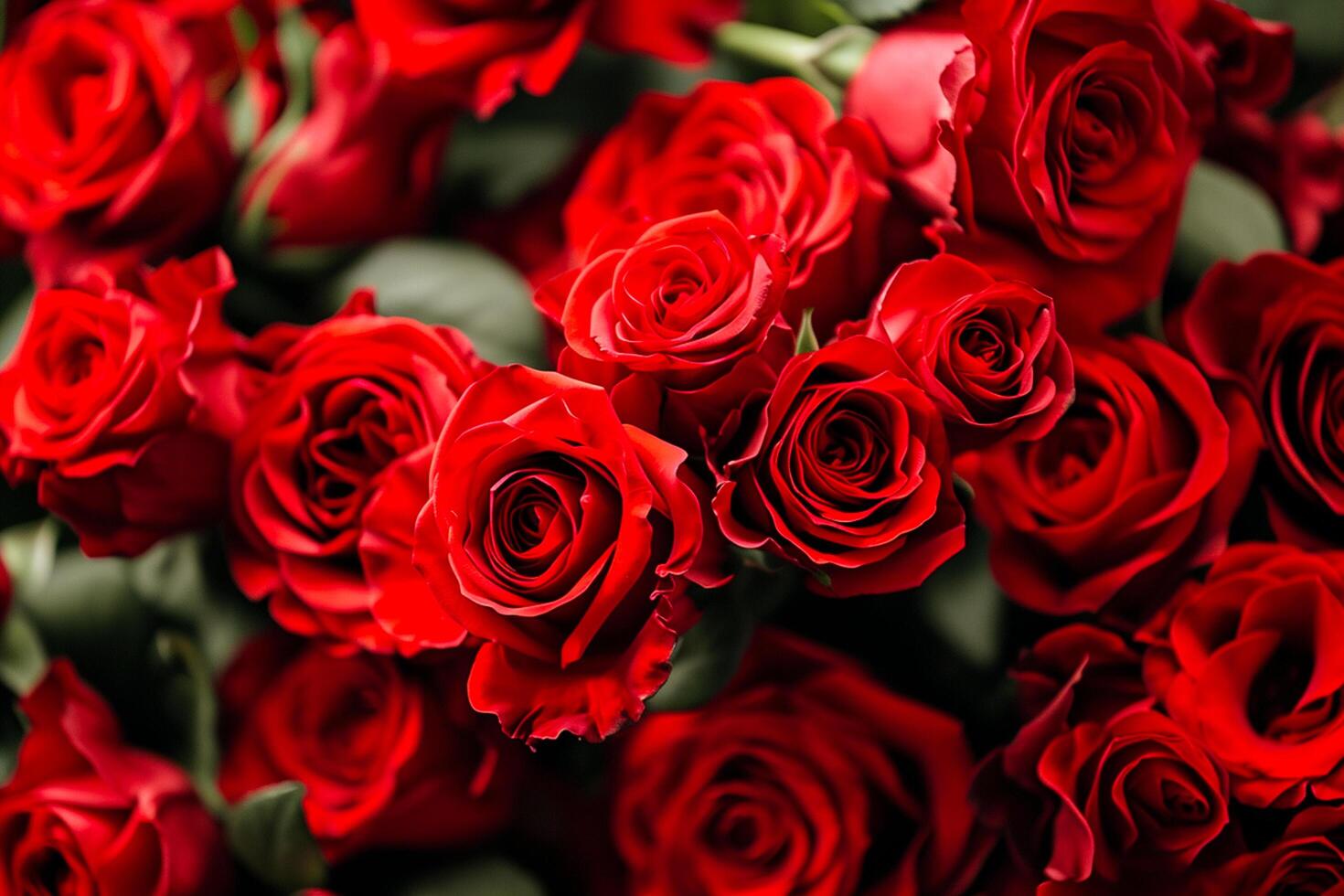 AI generated Close-Up of Roses Blooming Romantic love valentine's background Ai Generated photo