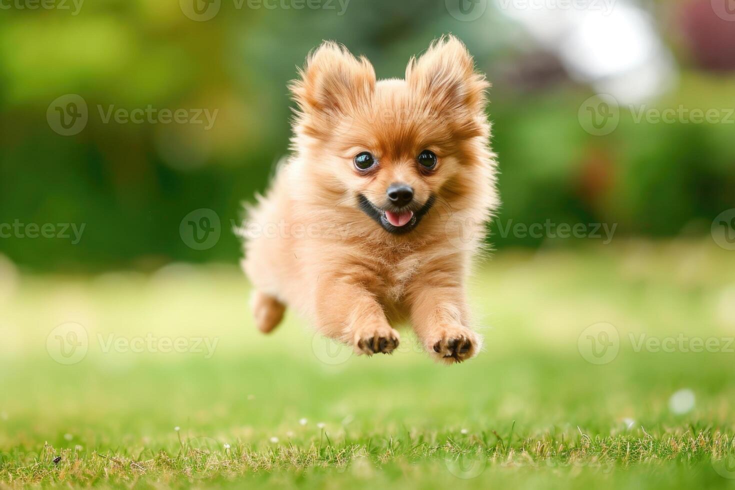 ai generado energético perrito jugando y hambriento para alimento. foto