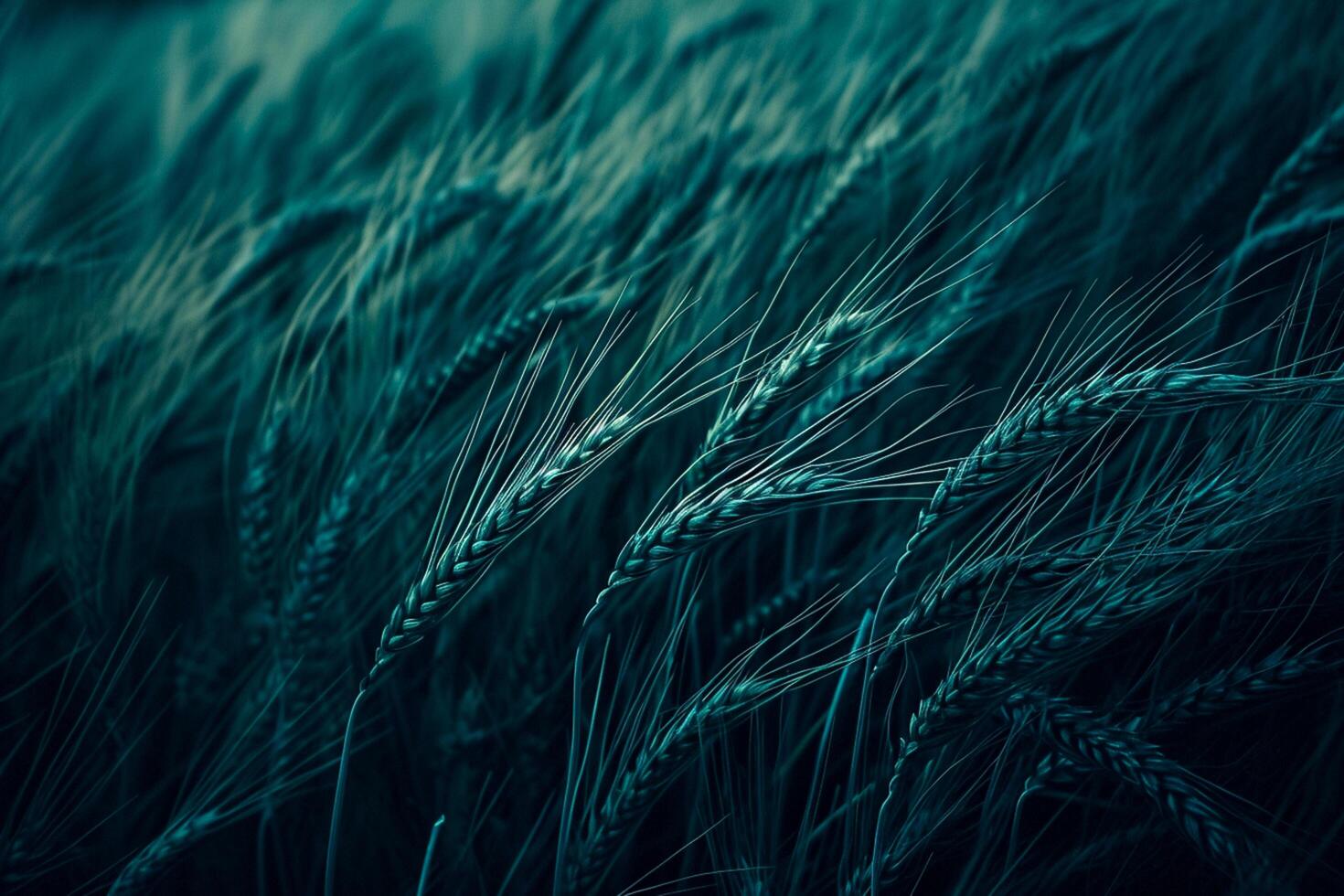 AI generated Photo of dark, moody wheat fields. The image depicts close up shots of wheat stalks. Ai Generated
