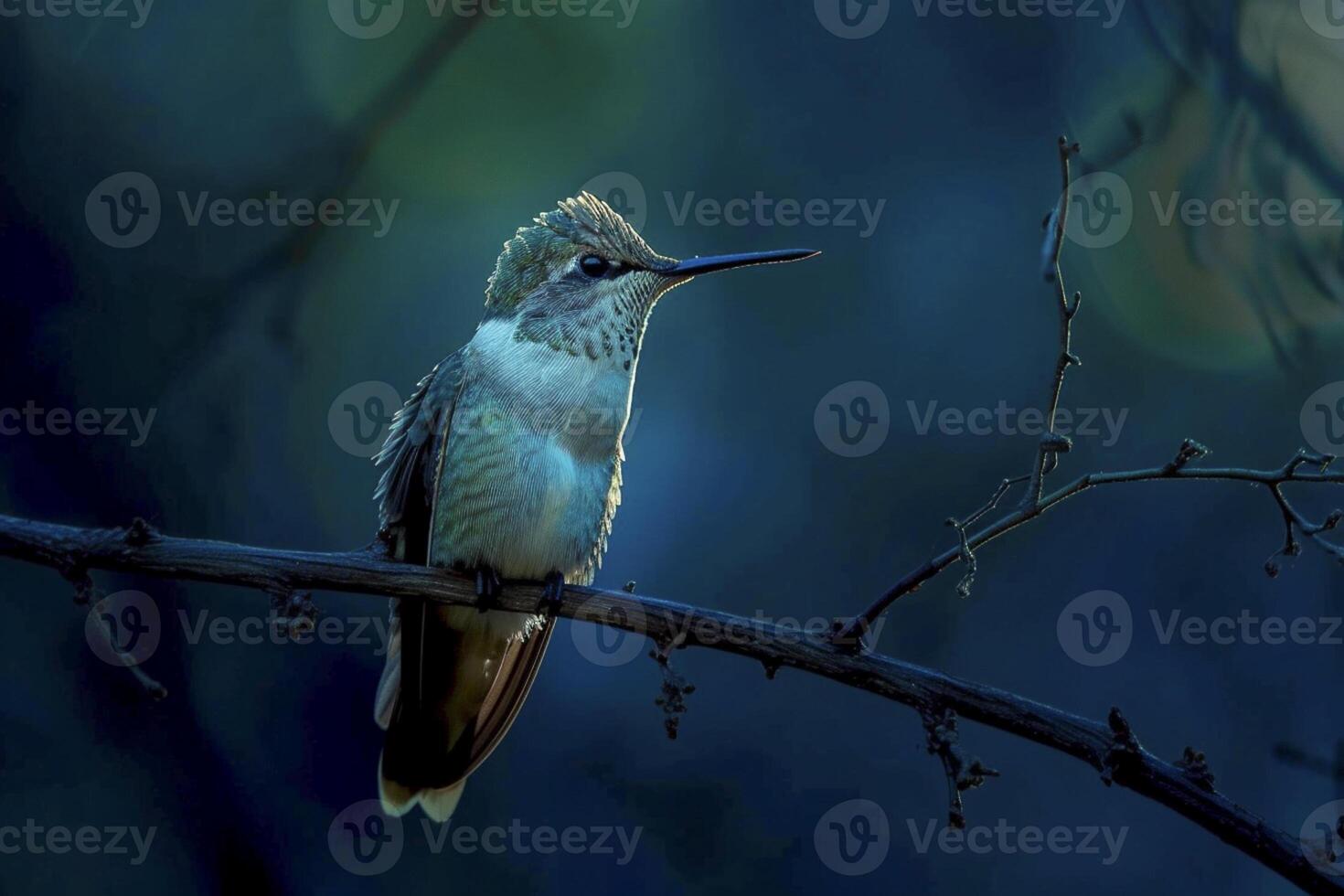 AI generated hummingbird perched on a branch, illuminated by a soft blue light in the midst of darkness Ai generated photo