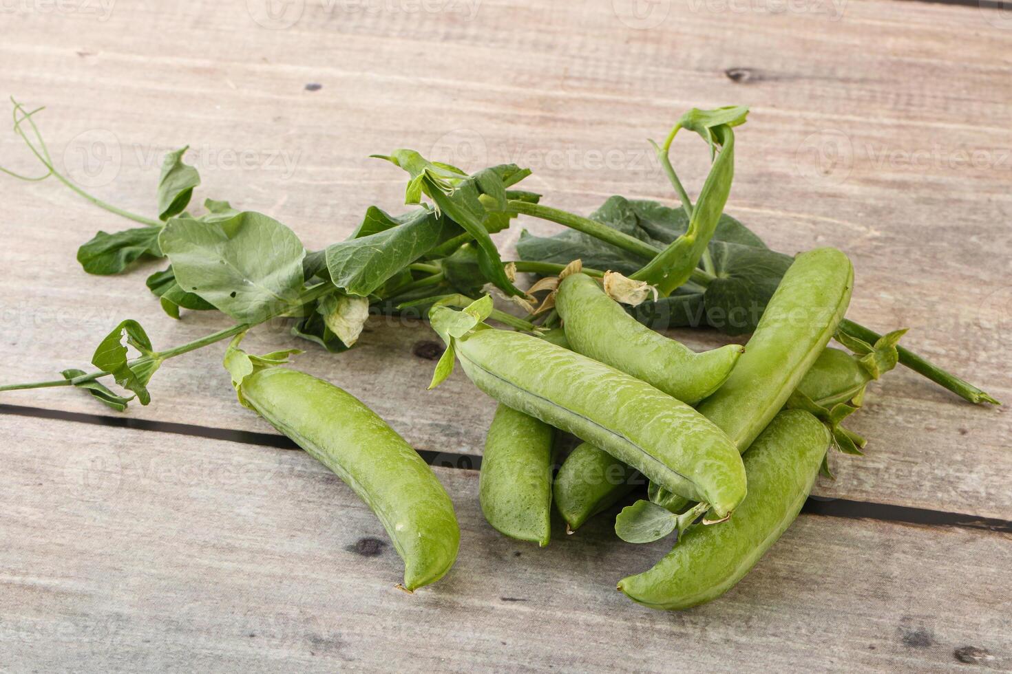 Ripe green pea - organic pant photo