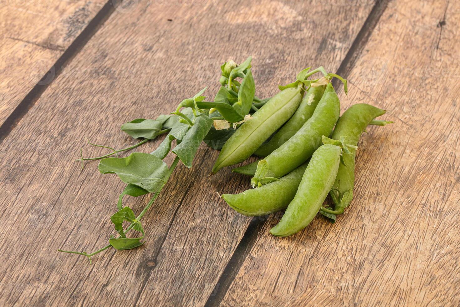 Ripe green pea - organic pant photo