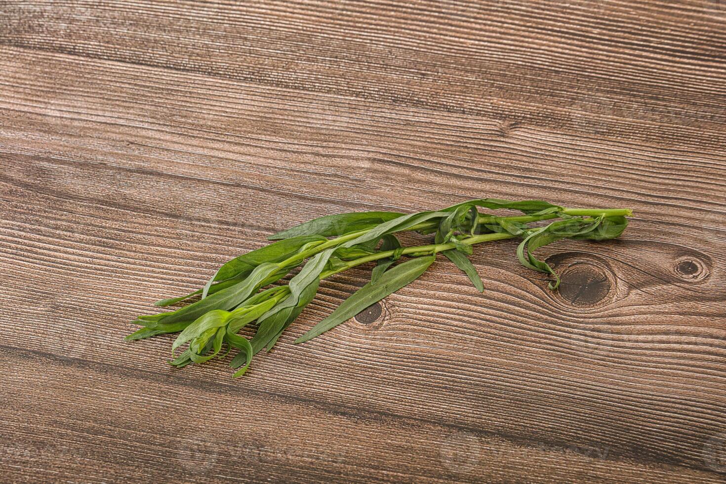 Green tarragon herb spice for cooking photo