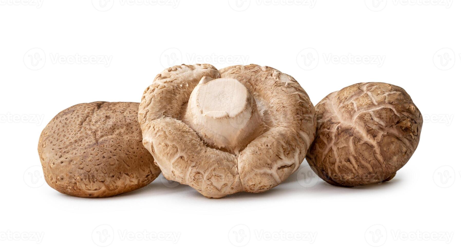 Fresh and dry shiitake mushrooms in stack or pile isolated on white background with clipping path photo