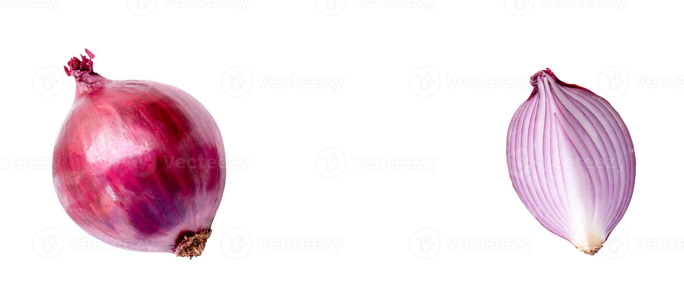 Fresh red or purple onion bulb with quarter or slice isolated on white background with clipping path photo